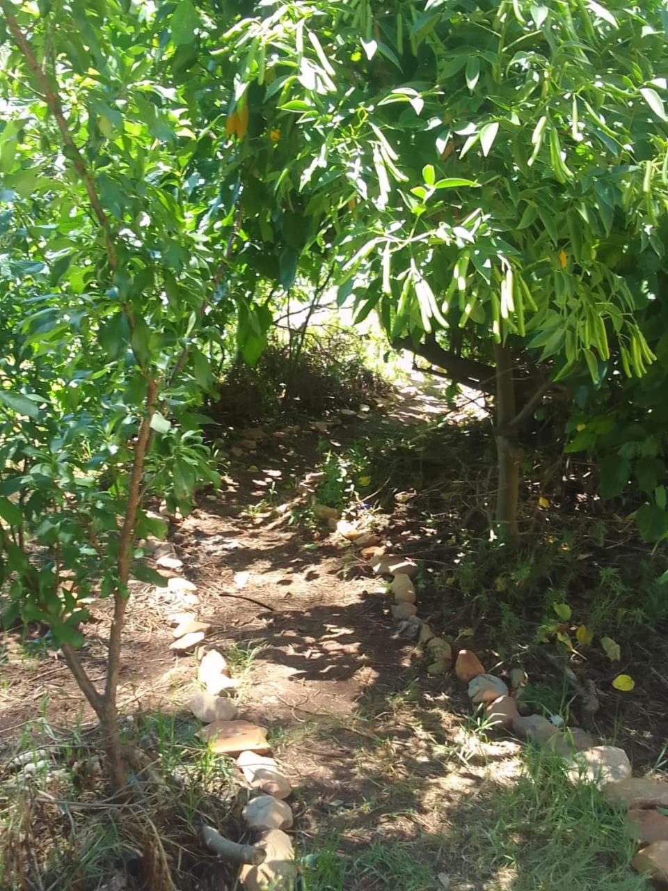 Bethany Farm Twee Riviere Esterno foto