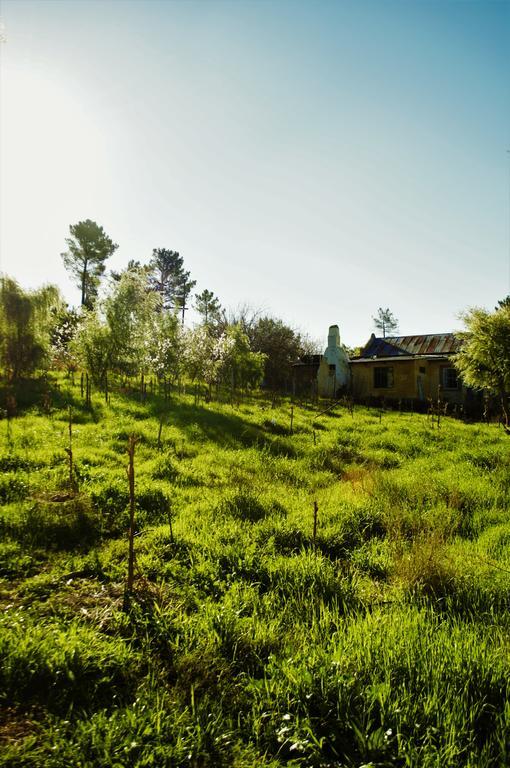 Bethany Farm Twee Riviere Esterno foto