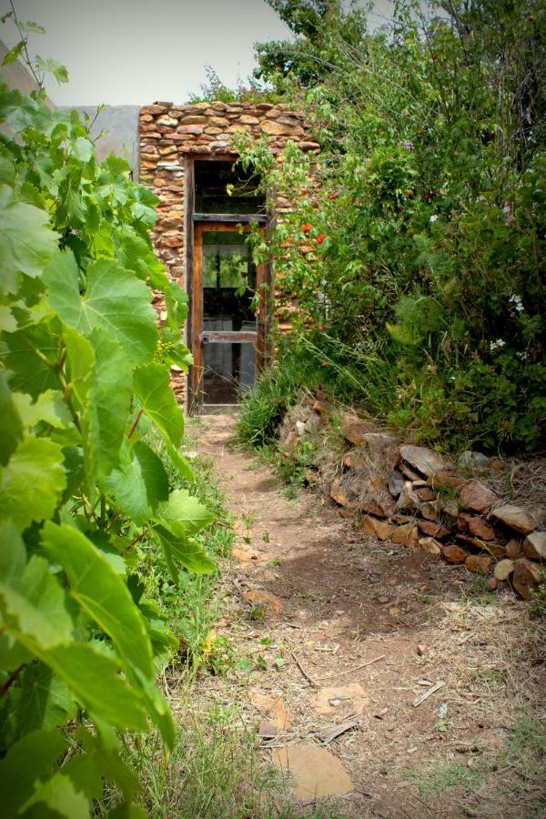 Bethany Farm Twee Riviere Esterno foto